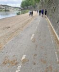 Ciclabile Tevere un tratto ancora col vecchio asfalto