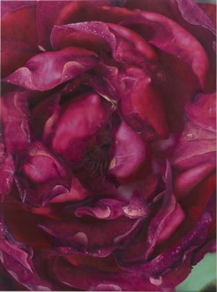 Damien Hirst, Dark Pink Rose, 2019, olio su tela, 129,4x96,5 cm. Courtesy the artist & Gagosian