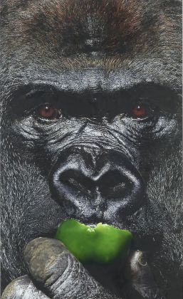 Damien Hirst, Gorilla Eats Green Pepper, 2013, olio su tela, 243,8x148,6 cm. Courtesy the artist & Gagosian