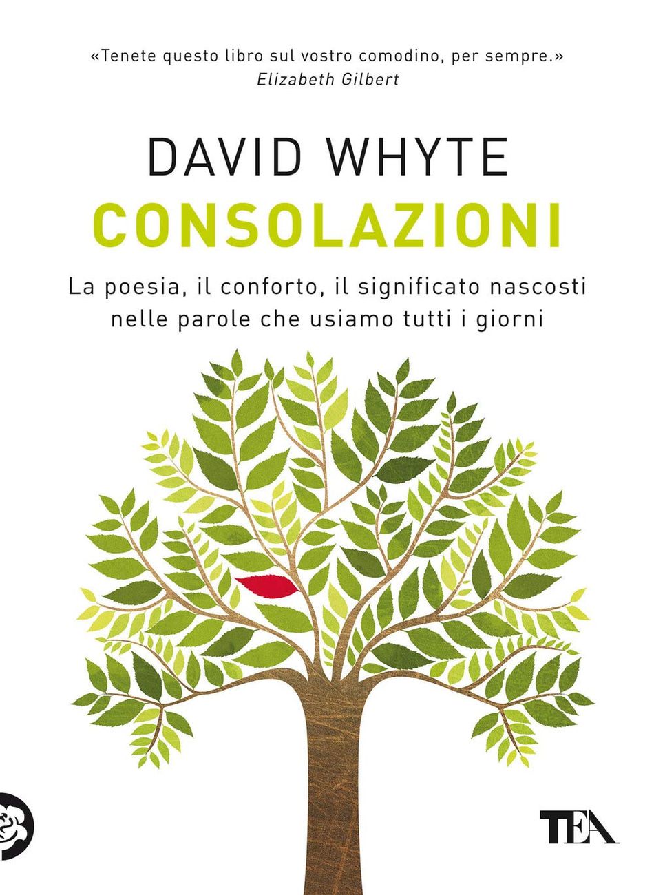 David Whyte – Consolazioni (TEA Libri, Milano 2021)