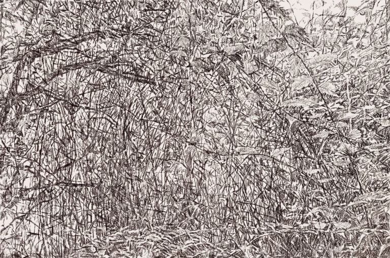 Elisabeth Scherffig, Senza titolo, 2020, pastello su carta Arches, 50 x 70 cm
