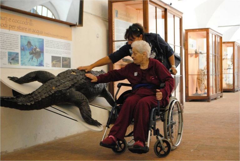 Musei Toscani per l'Alzheimer. Calci Museo di Storia Naturale Foto scattata prima dell'emergenza Covid