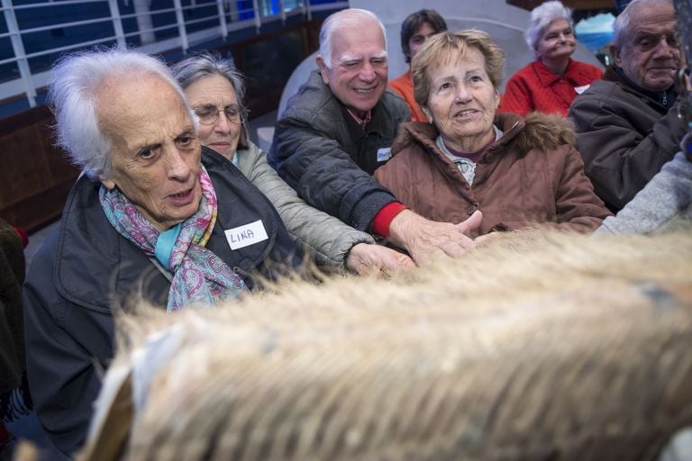 Musei Toscani per l'Alzheimer. Livorno Museo del Mediterraneo. Foto scattata prima dell'emergenza Covid