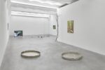 Nona Inescu. Waterlily Jaguar. Installation view at SpazioA, Pistoia 2021. Courtesy SpazioA