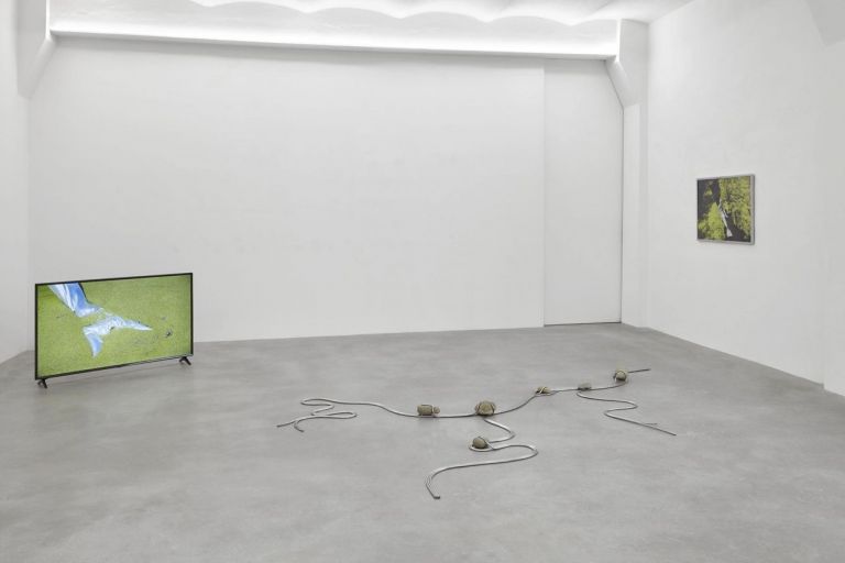 Nona Inescu. Waterlily Jaguar. Installation view at SpazioA, Pistoia 2021. Courtesy SpazioA