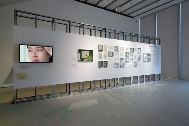 Rachele Maistrello, Green Diamond. Installation view at Museo MAXXI, Roma, Premio Graziadei, 2021 © Luis do Rosario
