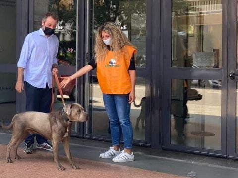 Servizio di dog sitting Dogs & Museum nei musei civici di Bologna