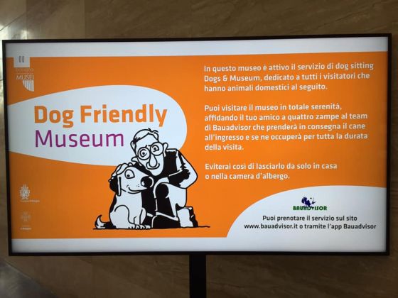Servizio di dog sitting Dogs & Museum nei musei civici di Bologna