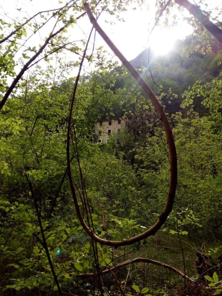 Silvia Maretto. Percorso Coltiva l'Arte. Progetto Adotta un terrazzamento nel Canale di Brenta