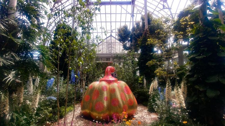 Una delle installazioni di Yayoi Kusama nelle serre del New York Botanical Garden, New York 2021. Photo Maurita Cardone