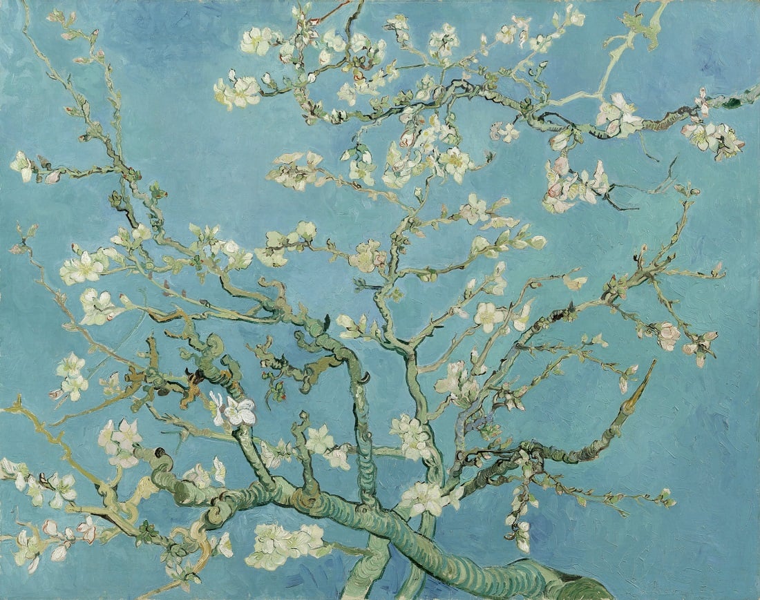 Vincent Van Gogh, Ramo di mandorlo in fiore, Google Art Project