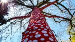 Yayoi Kusama, Ascension of Polka Dots on the Trees. Installation view at New York Botanical Garden, New York 2021. Photo Maurita Cardone