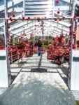 Yayoi Kusama, Flower Obsession. Installation view at New York Botanical Garden, New York 2021. Photo Maurita Cardone