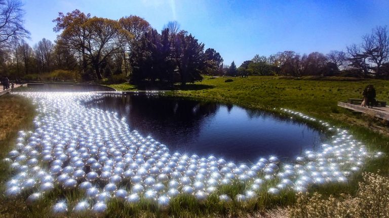Yayoi Kusama, Narcissus Garden. Installation view at New York Botanical Garden, New York 2021. Photo Maurita Cardone