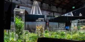 Biennale Architettura 2021, Padiglione Italia ph Irene Fanizza