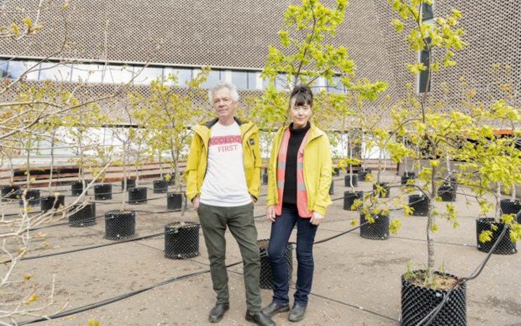 Alla Tate Modern 100 querce in memoria di Joseph Beuys