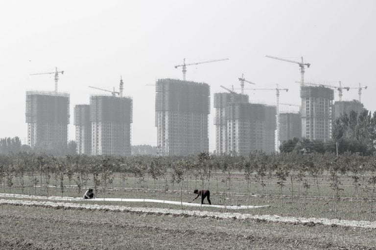Contadine al lavoro a Zhongmu, 2019, Zhengzhou, provincia dello Henan. Photo © Samuele Pellecchia