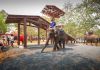 Elephant house in Tha Tum. Photo Spaceshift Studio