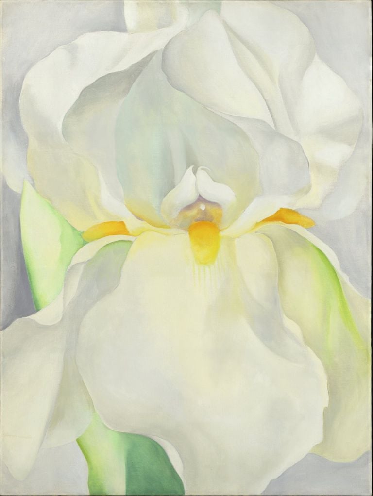 Georgia O'Keeffe White Iris No. 7, 1957 Museo Nacional Thyssen Bornemisza, Madrid © Georgia O’Keeffe Museum. VEGAP, Madrid, 2021