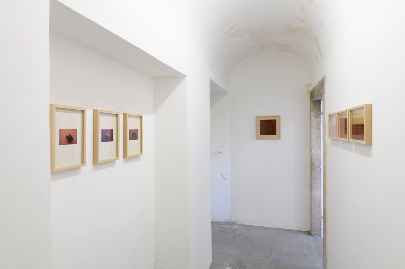 Giovanni Paolo Fedele, Carne della sua carne. Installation view at Monitor, Pereto 2021