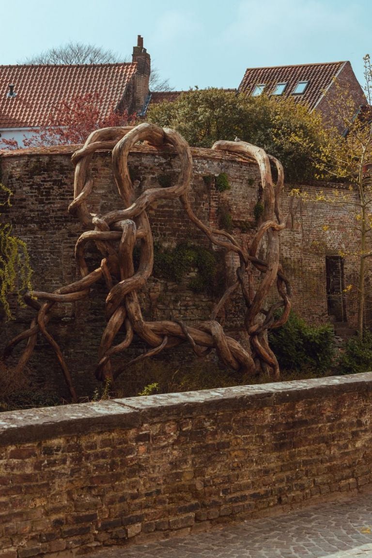 Henrique Oliveira, Banisteria Caapi (Desnatureza 4), 2021. Courtesy Vallois, Van de Weghe Triennale Brugge 2021 © Stad Brugge Matthias Desmet