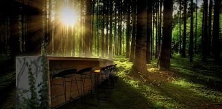 Norvegian Forest (cover)