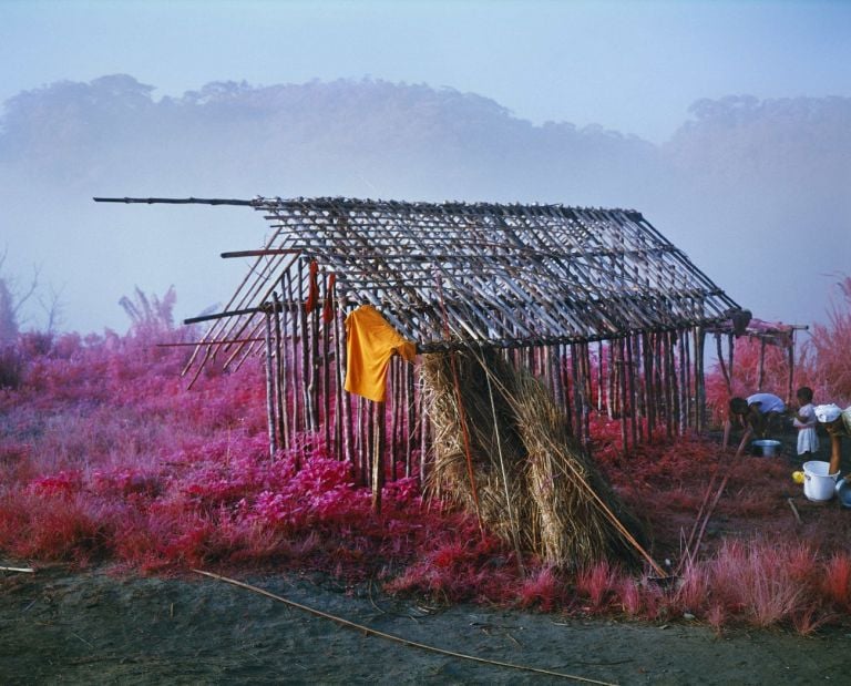 Richard Mosse, Come Out (1966) XXXI (Triple Beam Dreams) dalla serie Infra, eastern Democratic Republic of Congo, 2012. Private collection SVPL © Richard Mosse