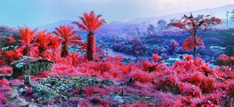 Richard Mosse, Hombo, Walikale dalla serie Infra, eastern Democratic Republic of Congo, 2012. Courtesy of the artist & Jack Shainman Gallery, New York © Richard Mosse