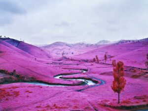 La fotografia di Richard Mosse in mostra al MAST a Bologna