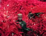 Richard Mosse, Vintage Violence dalla serie Infra, eastern Democratic Republic of Congo, 2011. Courtesy of the artist & Jack Shainman Gallery, New York © Richard Mosse