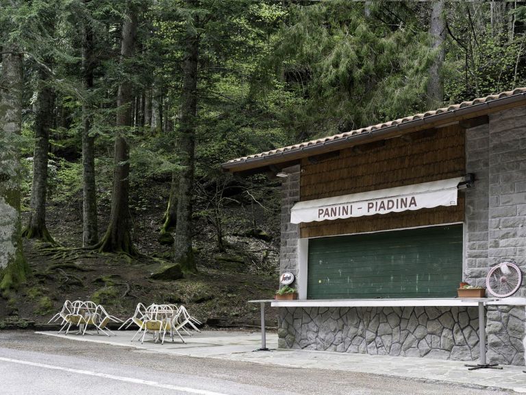 Silvia Camporesi, Campigna, 2020