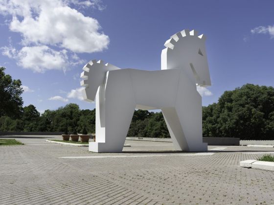 Silvia Camporesi, Forlì, 2020