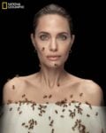 Angelina Jolie per il World Bee Day 2021 © Dan Winters National Geographic