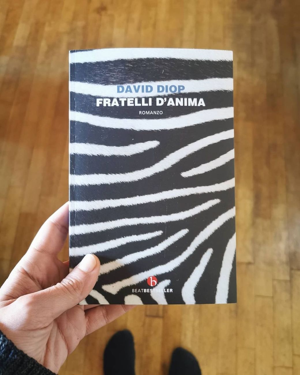 David Diop – Fratelli d’anima (Neri Pozza, Vicenza 2019)