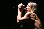 Iggy Pop ph Alex Const, fonte Wikimedia