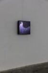 John Gerrard, Flag (Amazon), 2017, installation view at Zero..., Milano 2021. Courtesy l'artista, Pace Gallery, Zero.... Photo Roberto Marossi
