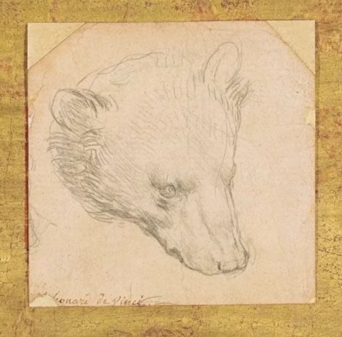 Leonardo Da Vinci, Testa d'orso, venduto a 7,5 milioni di sterline da Christie's