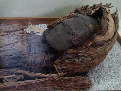 Mummia cultura Chinchorro, 3000 a.C.
