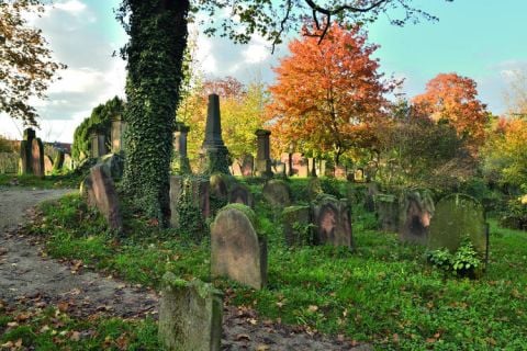 Vecchio Cimitero Ebraico Mainz, “Nuova sezione” del cimitero © Generaldirektion Kulturelles Erbe Rheinland Pfalz, Courtesy Unesco