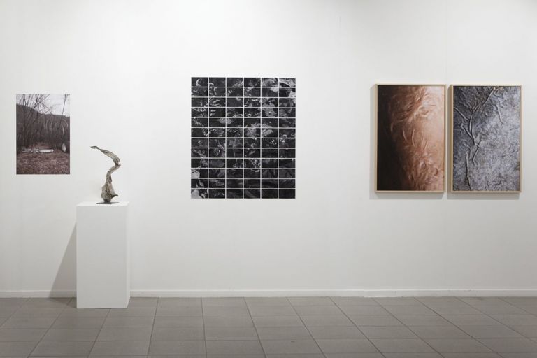 Silvia Bigi, Cicatrici. Installation view at Giovane Fotografia Ialiana 2019