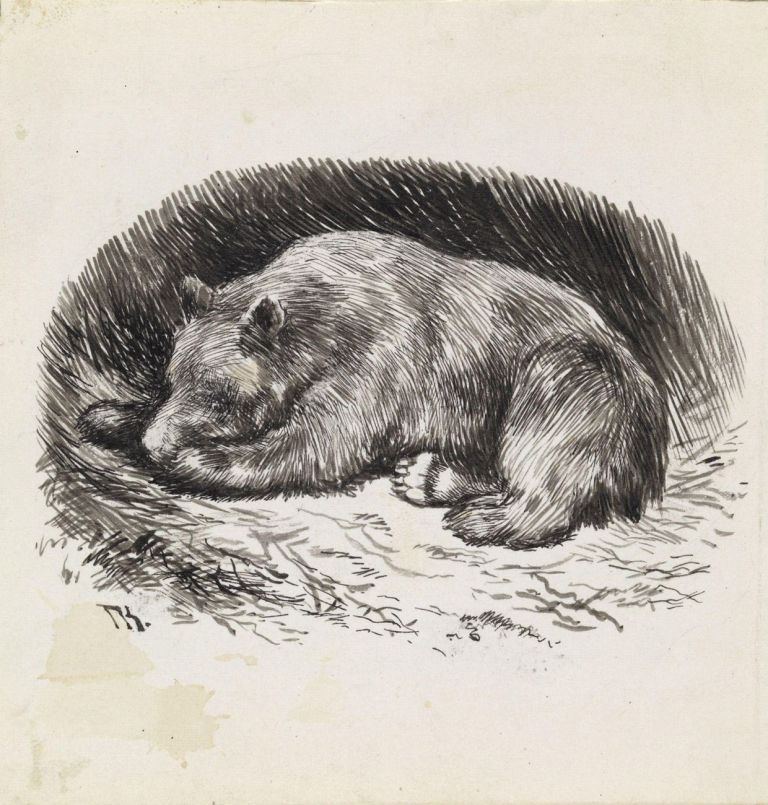 Theodor Kittelsen, Men da ble bamsen så harm, at han skilte lag med Mikkel med det samme, 1884. Photo Nasjonalmuseet – Dag Andre Ivarsøy