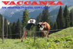 VACCANZA. The Mountain Tropical Experience. Fondazione Malutta in Dolomiti Contemporanee