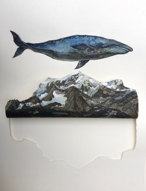 Balena, Grand Combin, 2021, acquerello su carta
