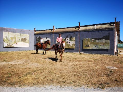 Marco Emmanuele, 10.000 Seahorse Power Site specific installation 2021 Maneggio di Sant’Irma, Capalbio Photo credit Giorgio Benni Courtesy Hypermaremma