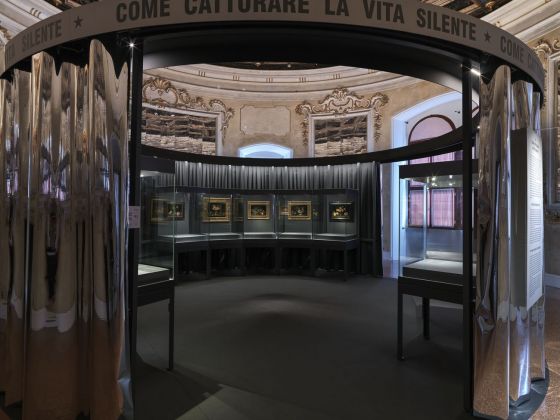 Fede Galizia mirabile pittoressa. Exhibition view at Castello del Buonconsiglio, Trento 2021. Courtesy Studio ESSECI, Padova