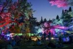 In Wonder(Is)land, mostra open air sull'Isola del Garda