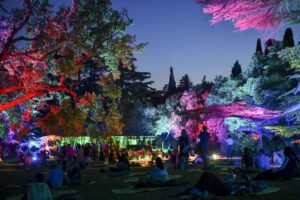 In Wonder(Is)land. Mostra open air di installazioni immersive sull’Isola del Garda