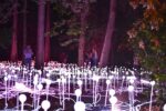 In Wonder(Is)land, mostra open air sull'Isola del Garda