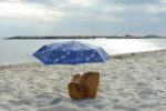 Davide Mancini Zanchi, Ombrello, 2021, legno trovato e ombrello, 35x40x30 cm (dimensioni con ombrello chiuso). Photo Michele Alberto Sereni
