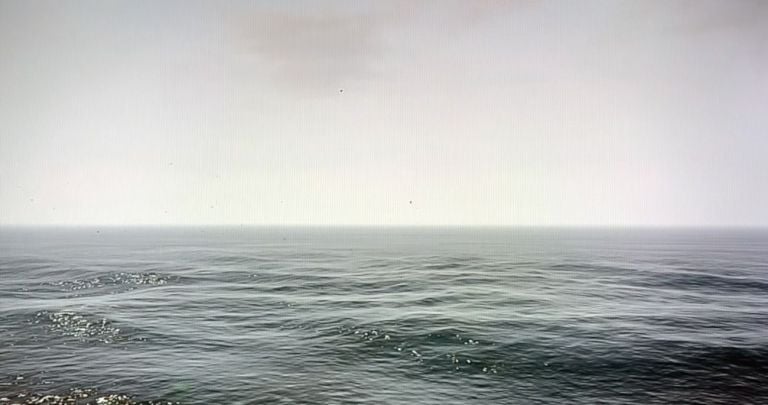 Davide Mancini Zanchi, Trevor, 2021, video proiezione a presa diretta da PlayStation 4, dimensioni ambientali, frame da video
